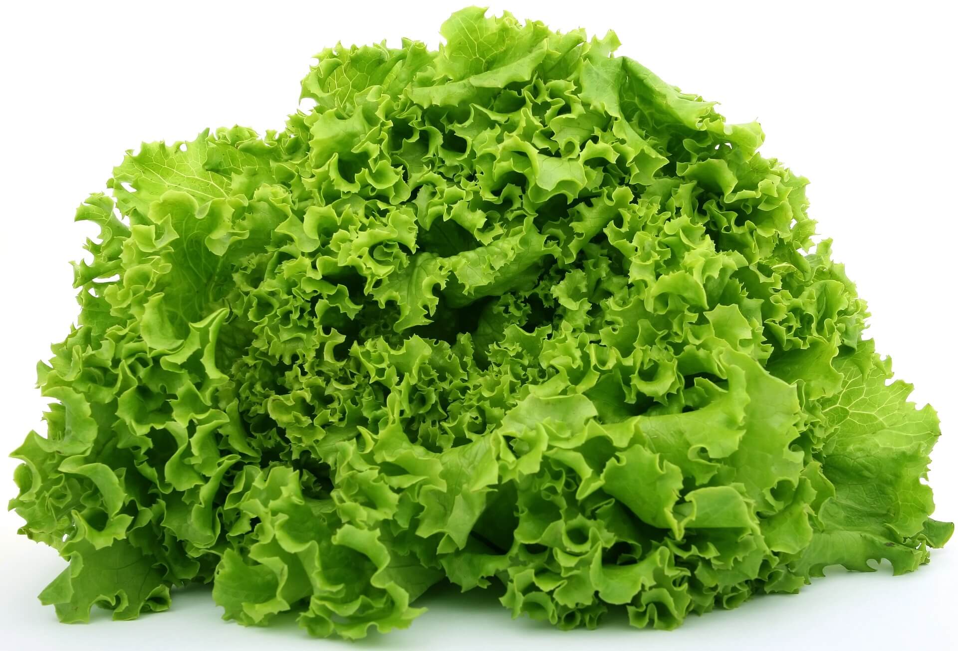 lettuce-1239155_1920-1.jpg