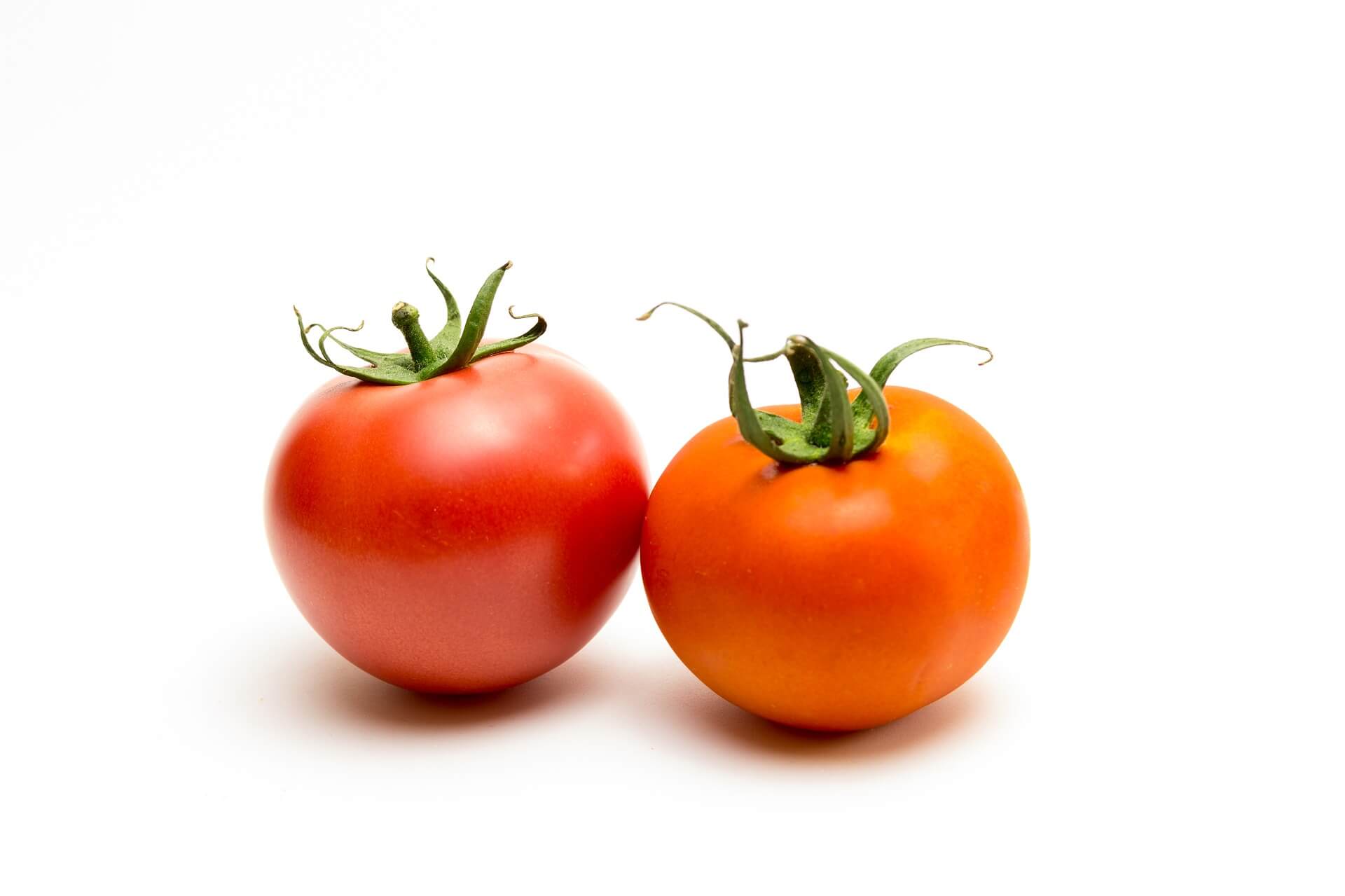 tomato-1620465_1920-1.jpg